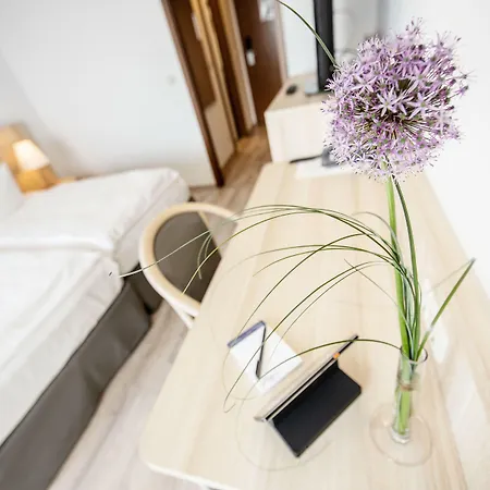 Otel Seelust
